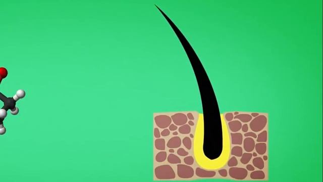 3 ЛЕГКИХ способа как быстро отрастить ГУСТУЮ И КРАСИВУЮ БОРОДУ Уже через месяц начнет расти борода смотреть онлайн