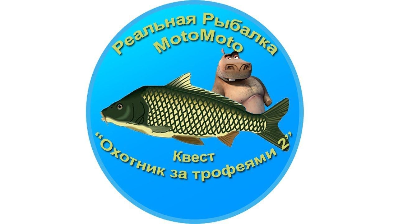 Квест 