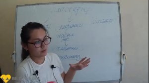 Биология. Жасуша құрылысы мен органоидтары