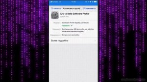 КАК УСТАНОВИТЬ на iPhone 4,5, WhatsApp, Инстаграм, Телеграм, Сбербанк