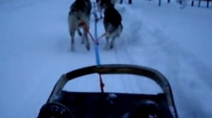 Iso-Syote, Finland, Husky Sledge Ride Part 2