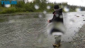 Ловля хариуса, БЕШЕНЫЙ клев на северной реке