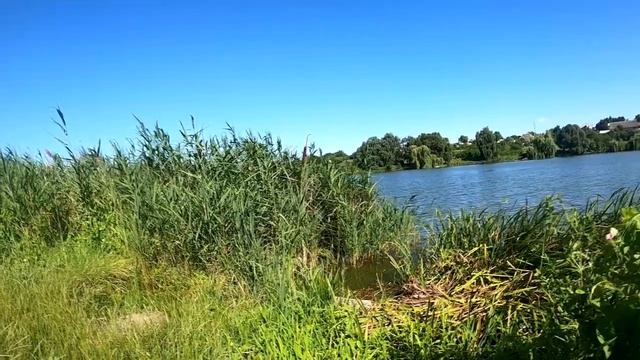 8 советов Духовного Здоровья