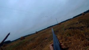 ОХОТА НА ВЯХИРЯ с самодельными чучелами. Моя первая охота на голубя.