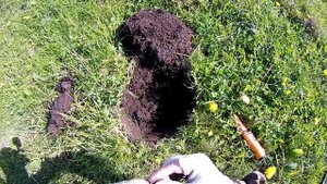 Копаю на целине / Рабочие настройки / Хороший результат / Закрываю весенний сезон