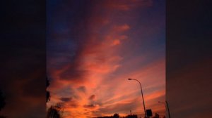 Mitski. Me and my husband (lyrics and translation)