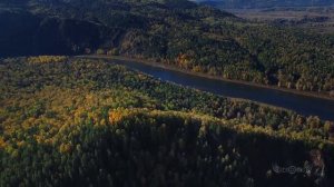 Лесосибирск,  Красноярский край, тайга, с воздуха