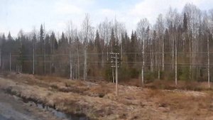 Юкарка - Чиньяворык - Иоссер из окна поезда 14.05.2022