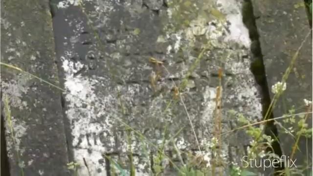 Забытые захоронения... смотреть онлайн