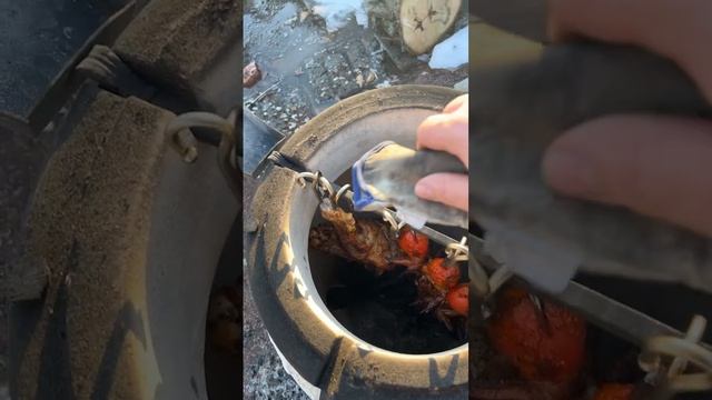 Готовим в тандыре,крылышки и заднюю баранью ногу. смотреть онлайн