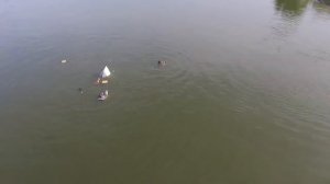 Зачем нужно надевать спасательный жилет? Крушение лодки. Расскажите об этом видео друзьям!