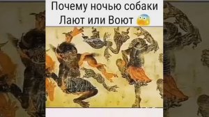 Почему ночью собаки лают?