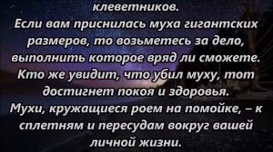К чему снятся мухи