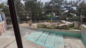 #2 "Сафари парк" #Слон #Орикс #Ослик  #Лама , #Геленджик  #краснодарскийкрай  края "Safari Park"