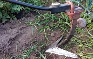 Рыхление междурядий картофеля. Борьба с сорняками.