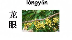 Учим китайский язык. Фрукты / Fruits.