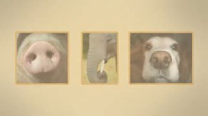 1 Как человек познает окружающий мир