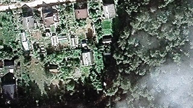 Ландшафтный дизайн. Курсы. Занятие 4. смотреть онлайн