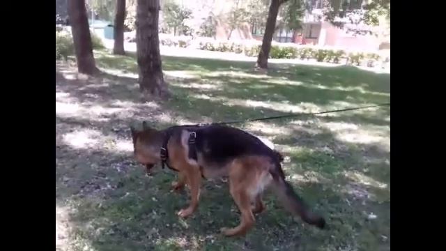 Мой клип под песню "Всё моё" ☺ смотреть онлайн