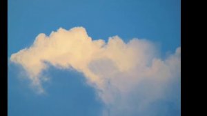 Sony Dsc H300 Foto & Video Zoom test