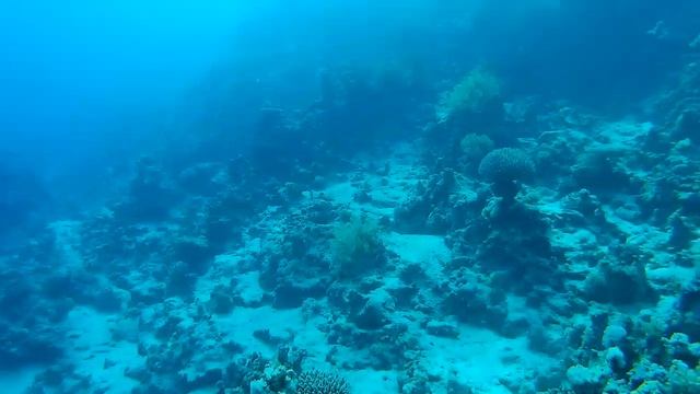 КрасноеМореГлубина2 (1)