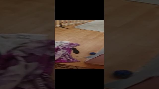Миша Белый - шпицуля. Приходил Серёжка...