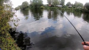 KEITECH Hog Impact и крючки MIKADO для чебурашек