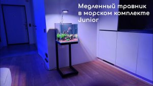 Медленный травник в морском комплекте