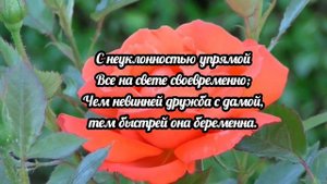 Игорь Губерман. стихи о женщинах