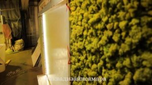 Водопад с фитостеной