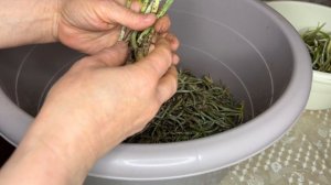 Была на рынке с Мадиной