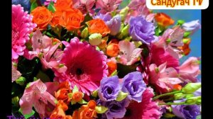 🌟Зифа Басырова✨ Туй йыры 🎸Сандугач ТV 🎶