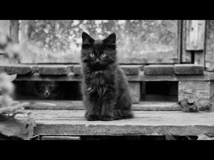 ДУХ ПОРОГА. ОТ ССОР В ДОМЕ. ДЛЯ ВСЕХ. ВЕДЬМИНА ИЗБА. АВТОРСКИЙ РИТУАЛ ИНГИ ХОСРОЕВОЙ.mp4