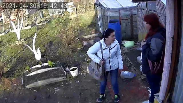 Морозиху попросила помочь по  даче смотреть онлайн