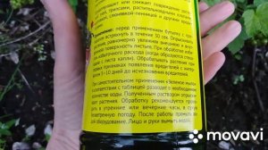 Что случилось с красной смородиной?!! #смородина #красныепятнанасмородине