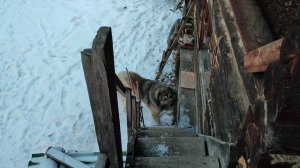 рассвет в горах