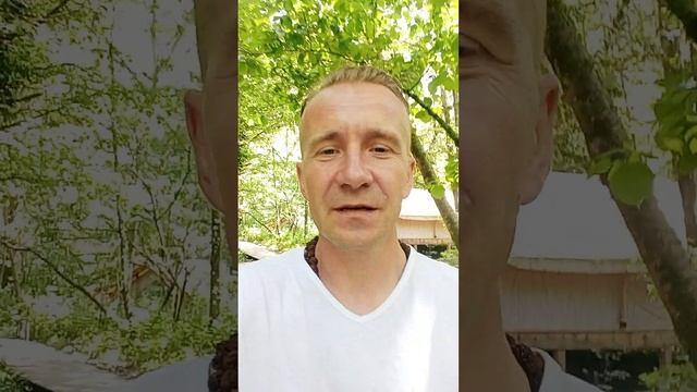 Глэмпинг "Лес". Добро пожаловать в сказку. #природа #сказка #здоровье #житьвсочи #жизньигра #жизнь