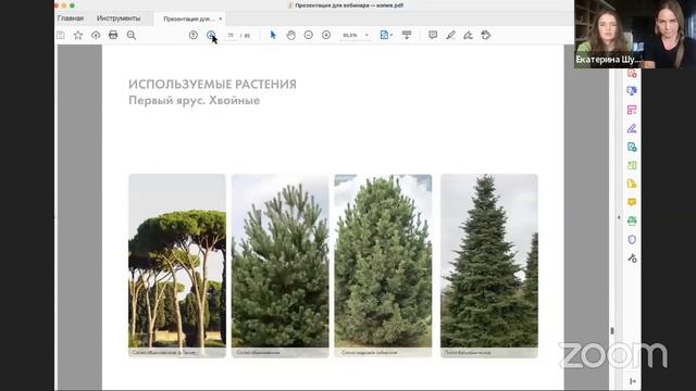 ОФОРМЛЕНИЕ ЛАНДШАФТНЫХ ПРОЕКТОВ | Вебинар | Photoshop + Indesign