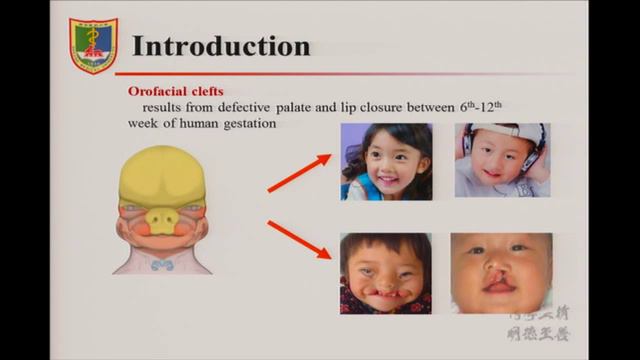 OMICS International 5th American Dental Congress смотреть онлайн