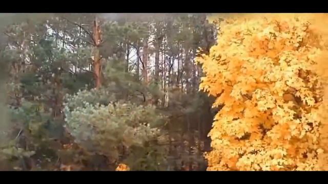 Читаем Аксакова всей Россией