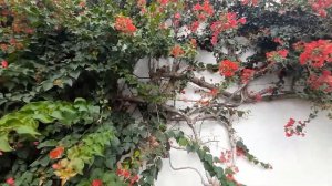 О чём грустит испанская гитара провинция Барселона Эль-Масноу (кат. El Masnou)