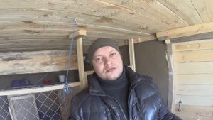 Лучшие куры несушки породы "Кучинская Юбилейная".