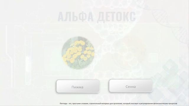 Alpha DTX (Детокс)