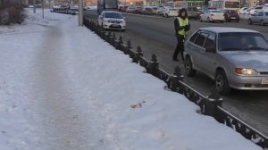 Утёнок ДПС на дороге. Стажёр .