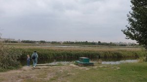 Один из двух заповедников в мире, в черте города | ПТИЧЬЯ ГАВАНЬ в ОМСКЕ