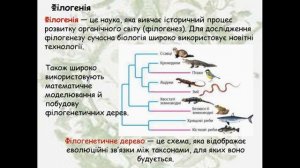 Основи еволюційної філогенії та систематики