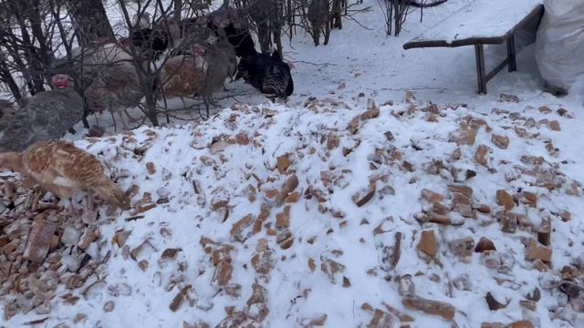 14-12-2023 смотреть онлайн