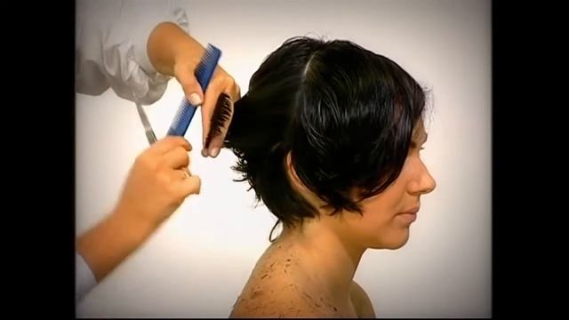 Мастер-класс стрижки смотреть онлайн