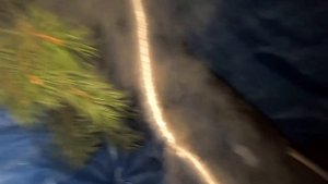 ?Походная баня за 5 МИНУТ в лесу?