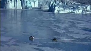 007 2002 Умри, но не сейчас Пирс Броснан.wmv